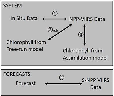 Forecasting Ocean Chlorophyll in the Equatorial Pacific